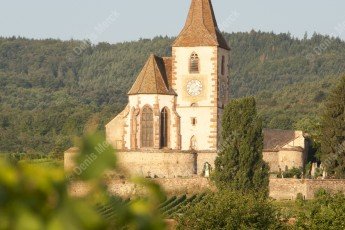 Alsace : église de Huhnawihr dans la vignes
