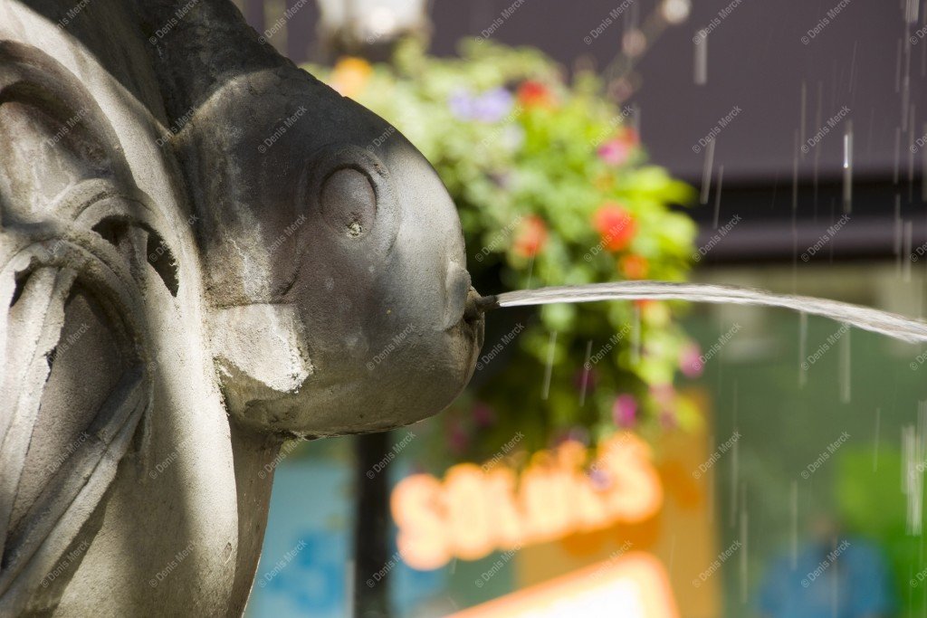 La fontaine aux dauphins de la place de la République à Haguenau