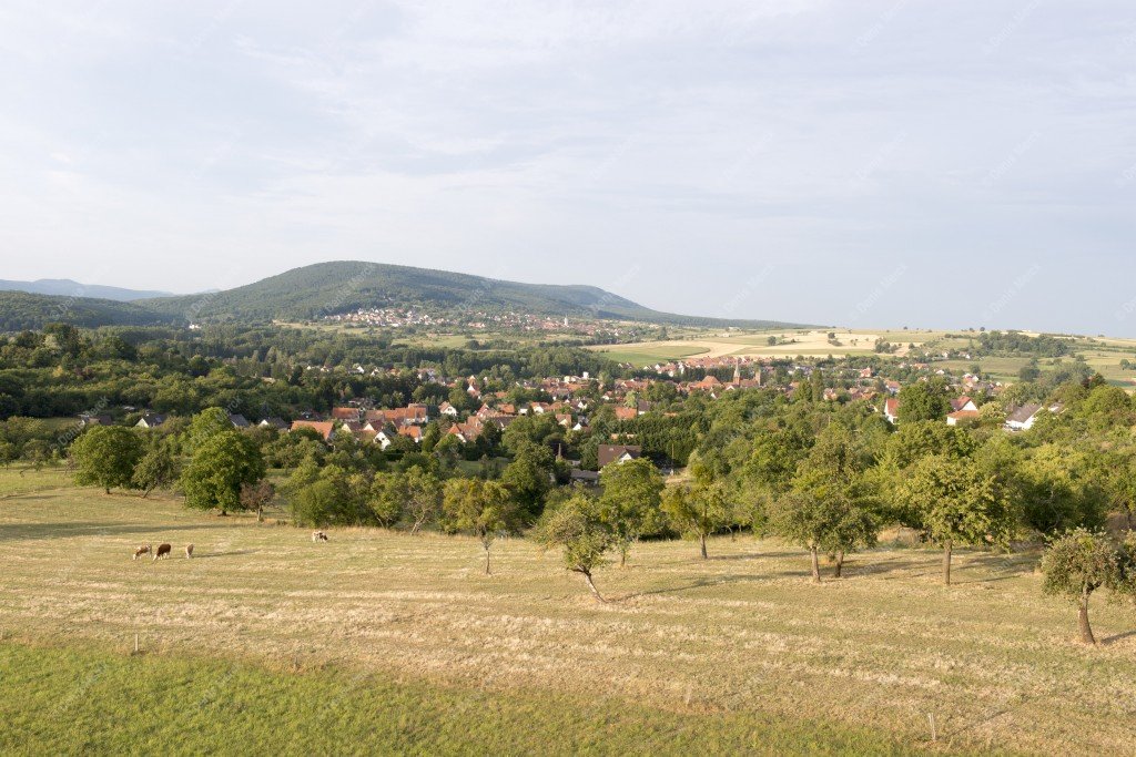 paysage de la campagne alsacienne avec le village de Woerth