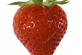 fraise détourée