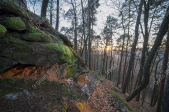 Le sentier des roches du Fleckenstein